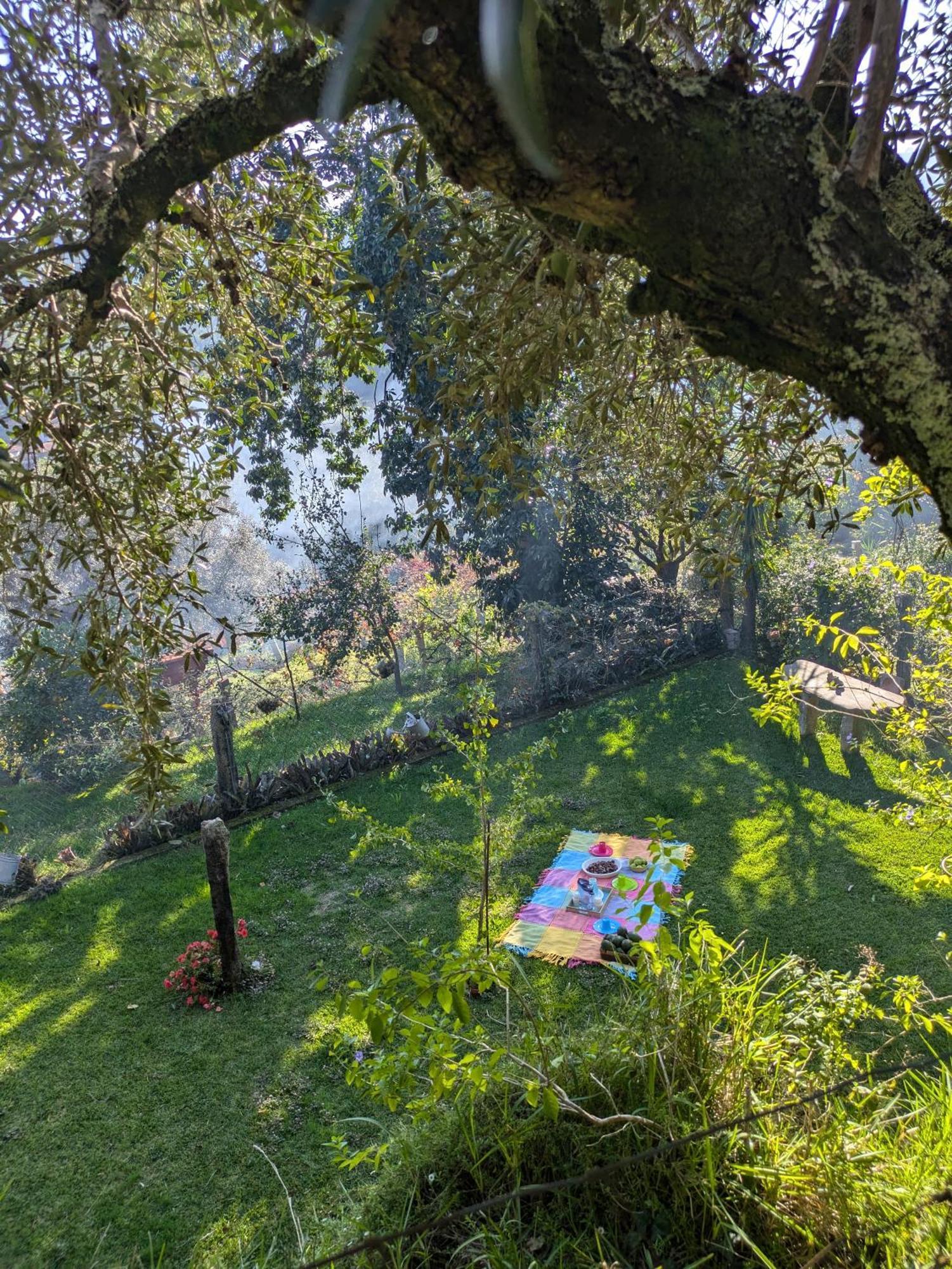 Casa Do Valo Villa Amonde Dış mekan fotoğraf