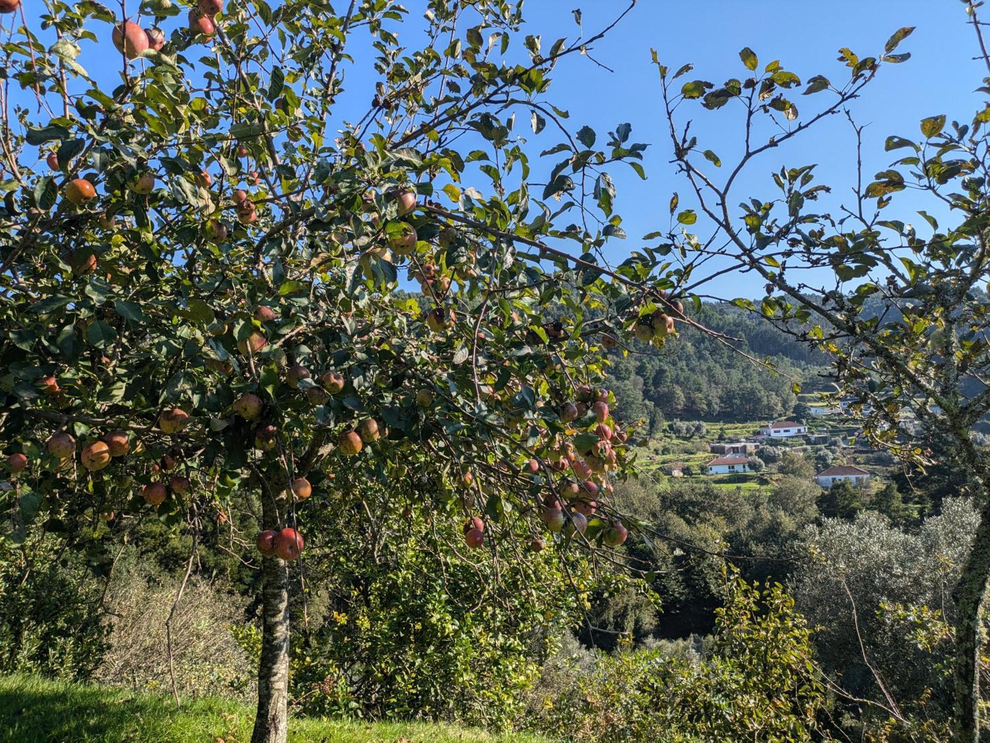 Casa Do Valo Villa Amonde Dış mekan fotoğraf