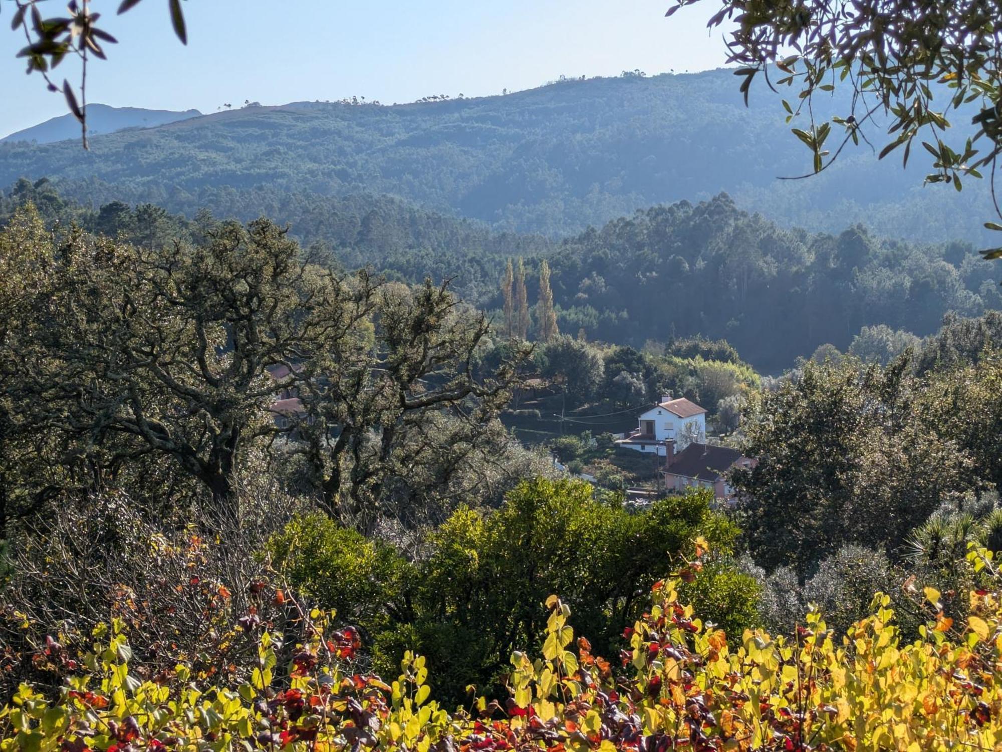 Casa Do Valo Villa Amonde Dış mekan fotoğraf