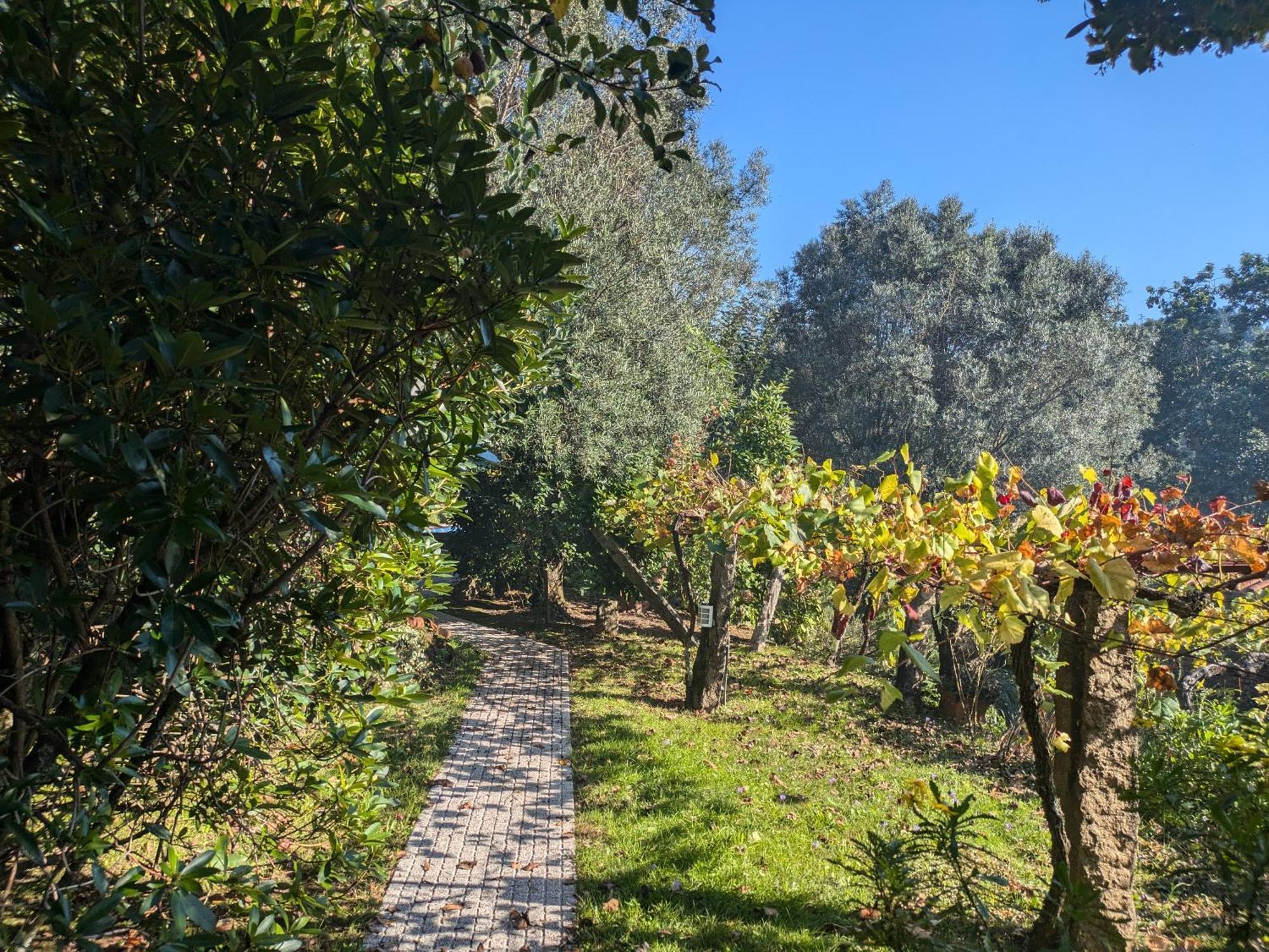 Casa Do Valo Villa Amonde Dış mekan fotoğraf