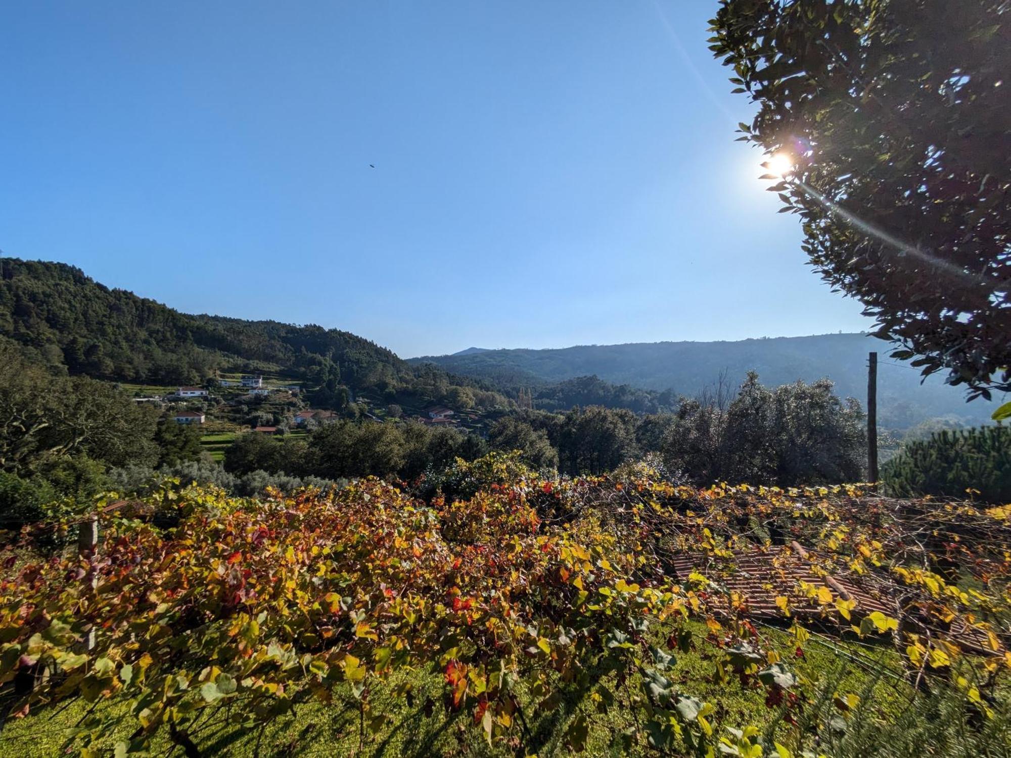 Casa Do Valo Villa Amonde Dış mekan fotoğraf