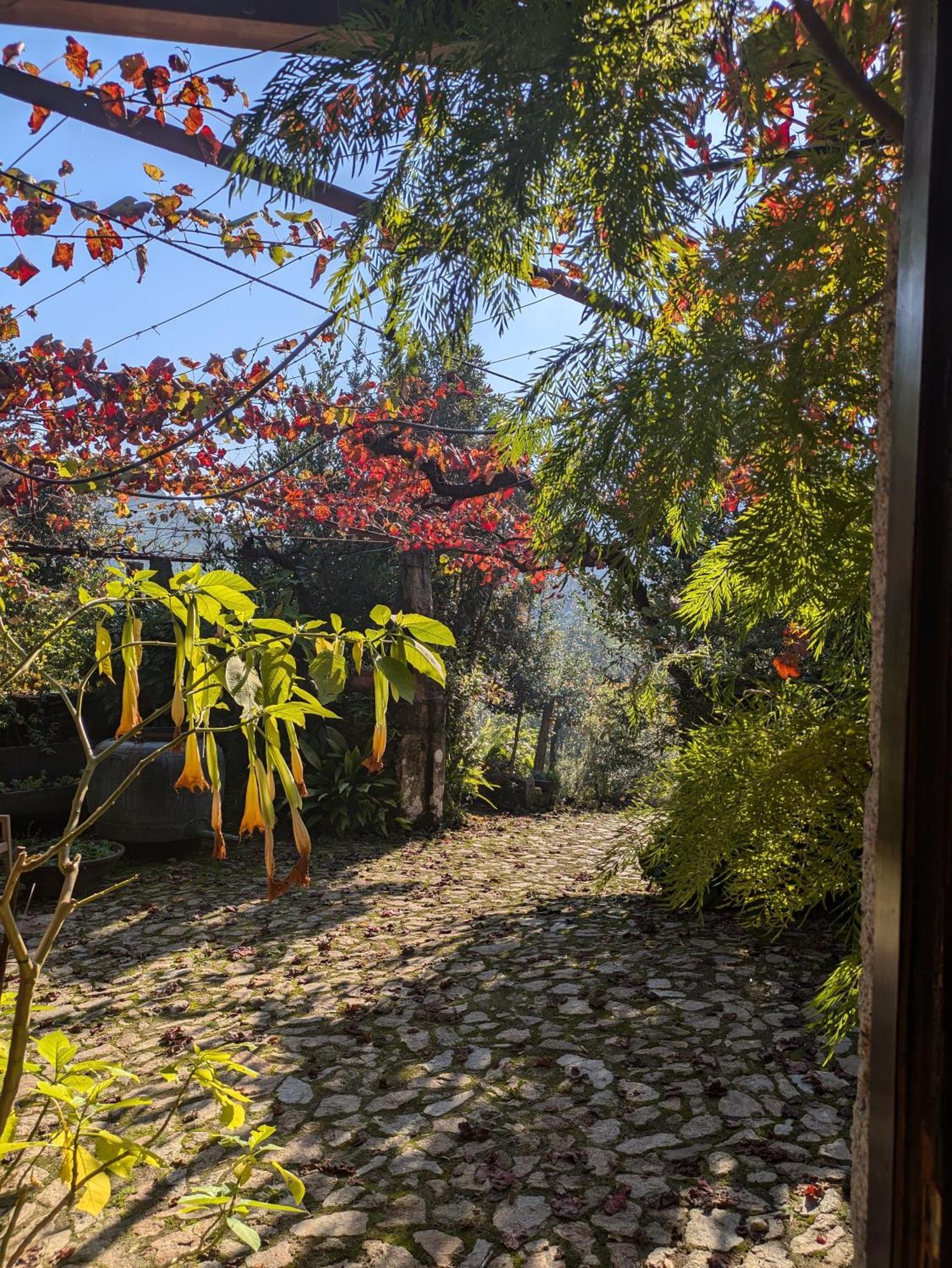 Casa Do Valo Villa Amonde Dış mekan fotoğraf