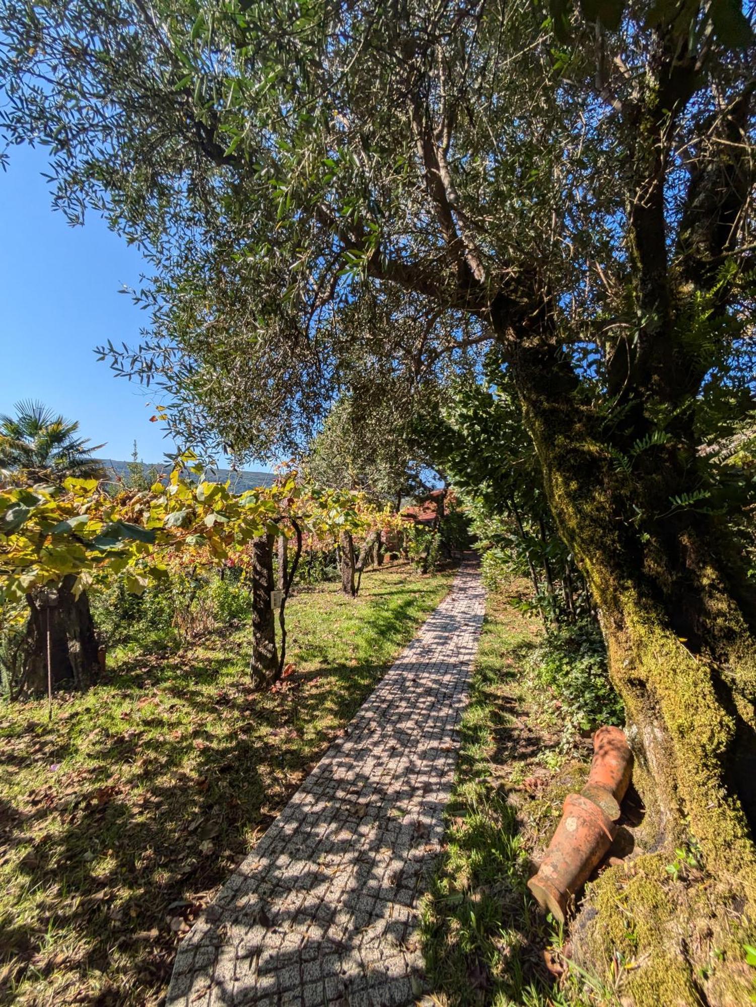 Casa Do Valo Villa Amonde Dış mekan fotoğraf